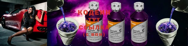 сатива Снежногорск