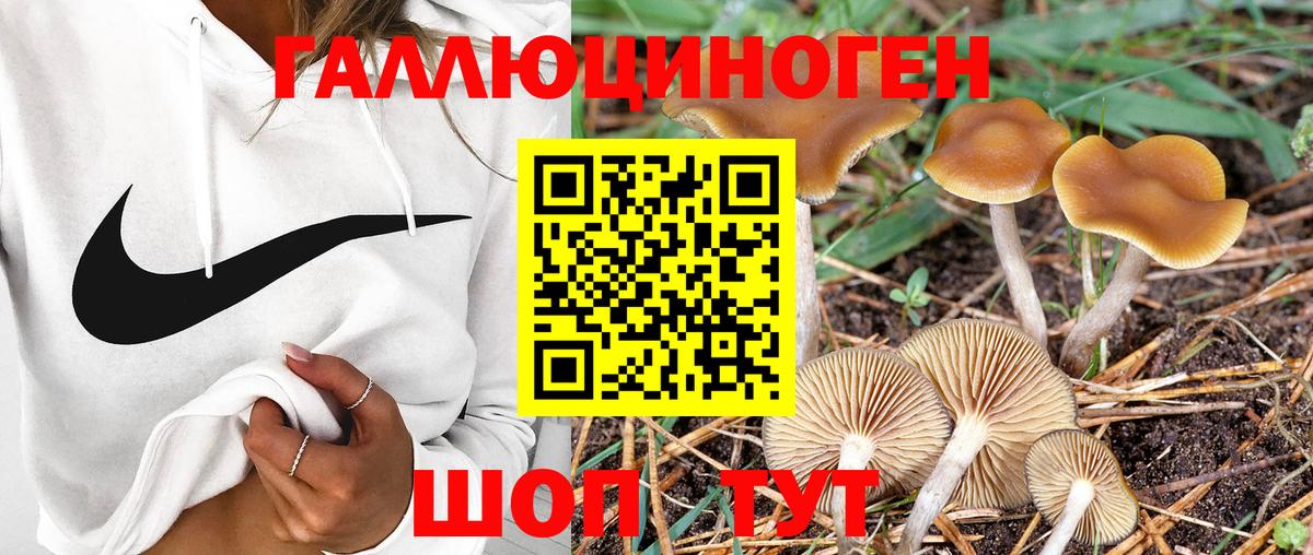 Орск  Галлюциногенные грибы GOLDEN TEACHER  Вход с VPN 