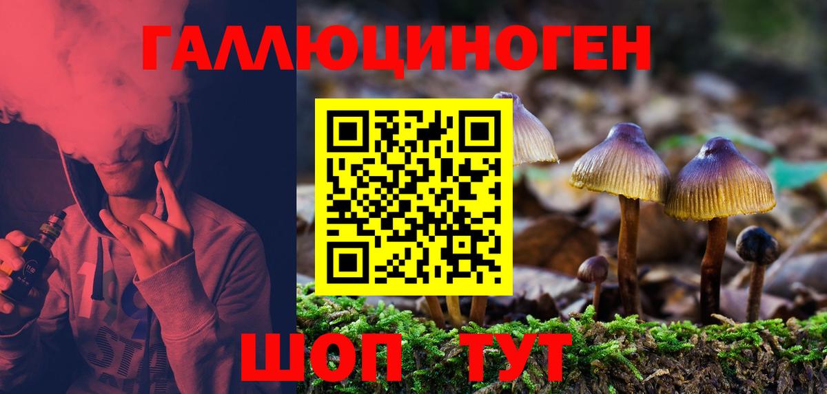 Псилоцибиновые грибы Magic Shrooms Орск