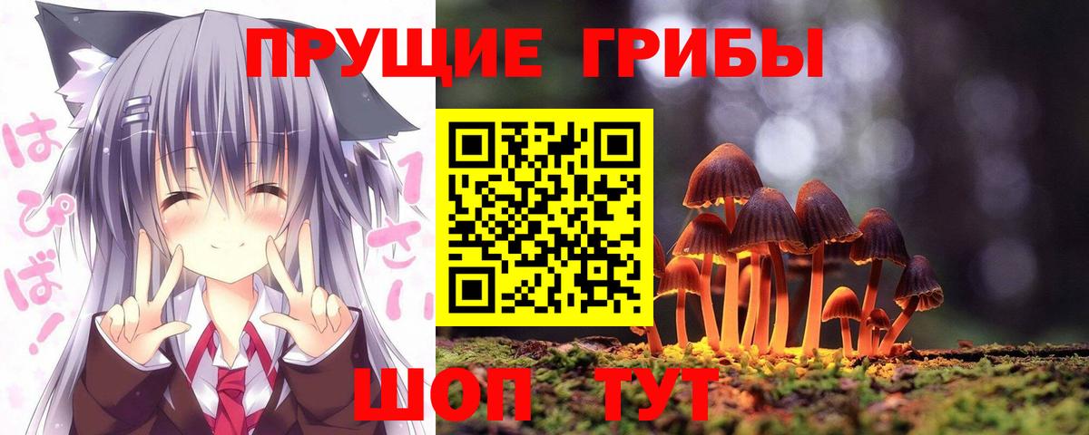 Псилоцибиновые грибы прущие грибы Орск
