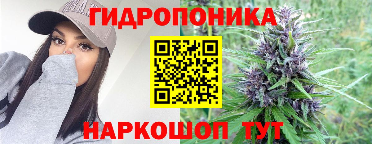 Орск  Каннабис AK-47  Бошки марихуана марихуана  Вход с VPN  Марихуана конопля 